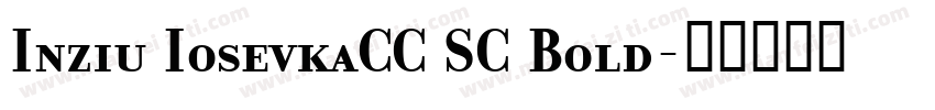 Inziu IosevkaCC SC Bold字体转换